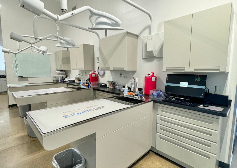 Vetsavers Pet Hospital Dallas Veterinarians